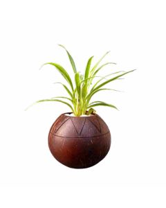 Gi Heritage Pot Round Shaped Cutting Indoor Planter, 10Cm X 10Cm X 10Cm,200Gm 1 Pc