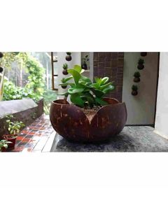 Gi Heritage V Shaped Indoor Planter, 10Cm X 10Cm X 10Cm,200Gm 1 Pc